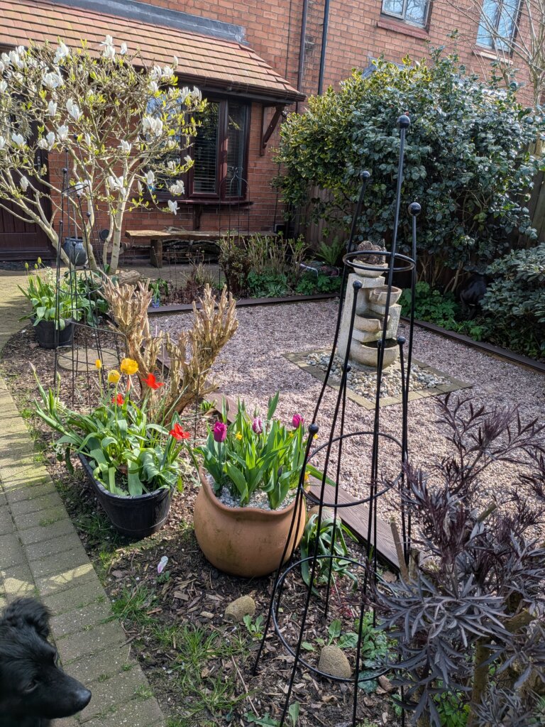 Image #2 from Nicola Smith