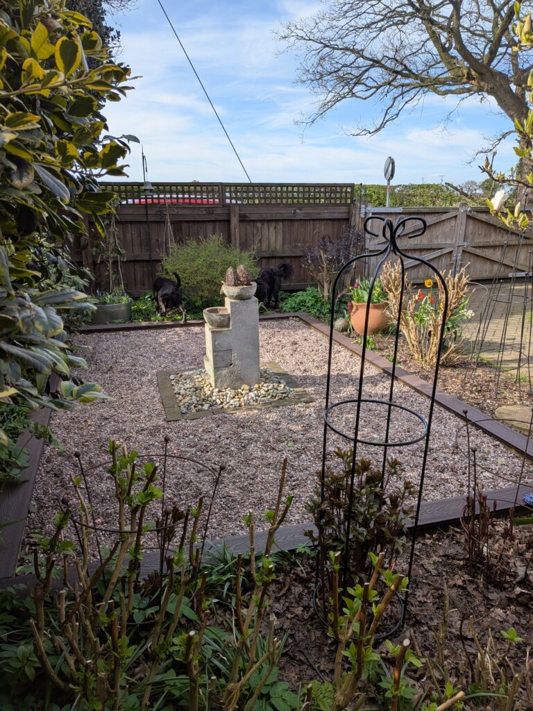 Image #3 from Nicola Smith