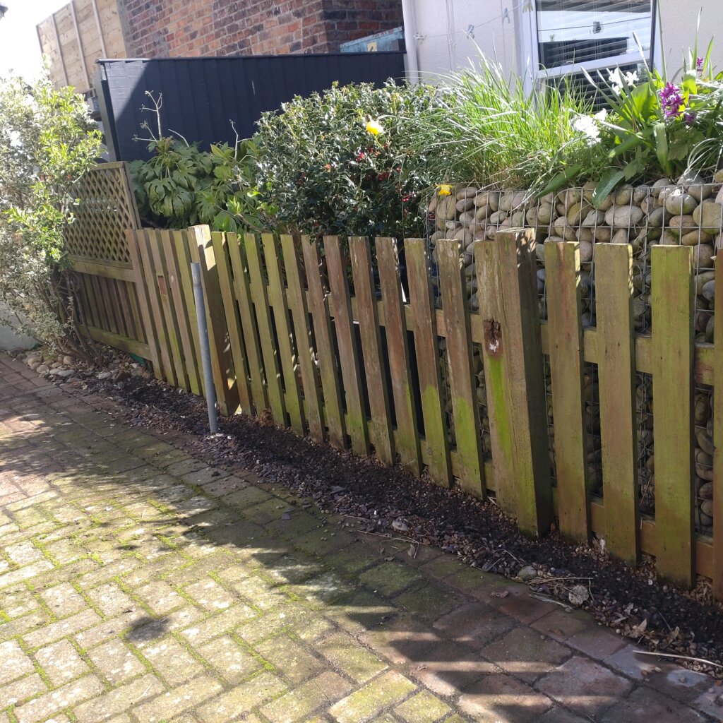 Image #4 from Michael Betts