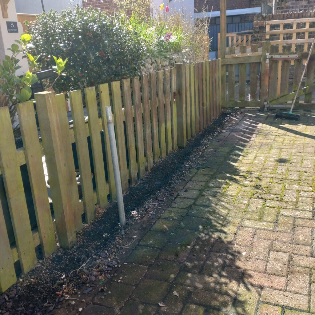 Image #2 from Michael Betts