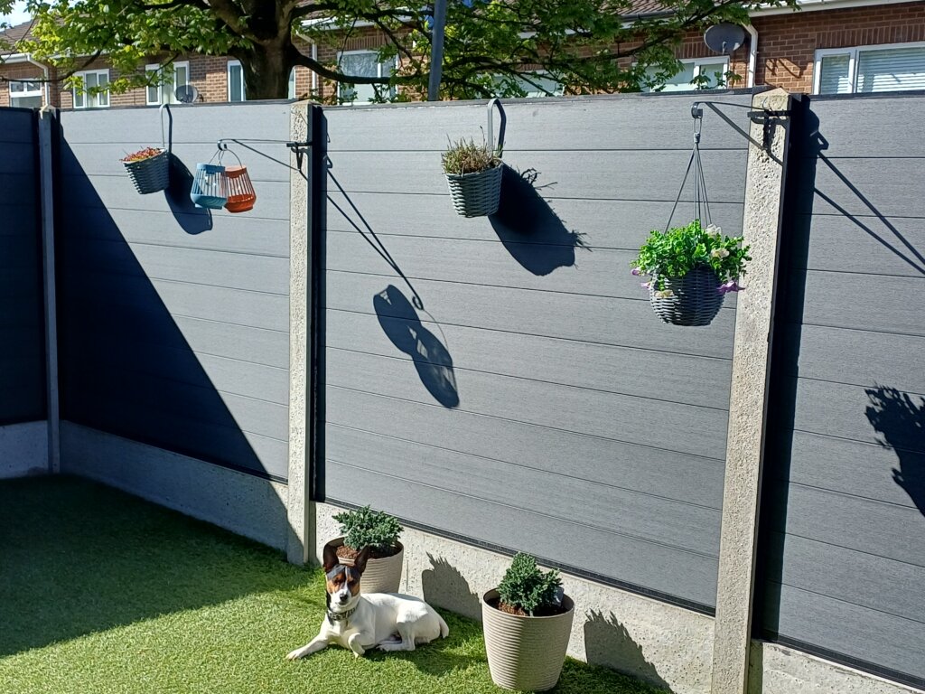 Image #2 from Stephanie Hill