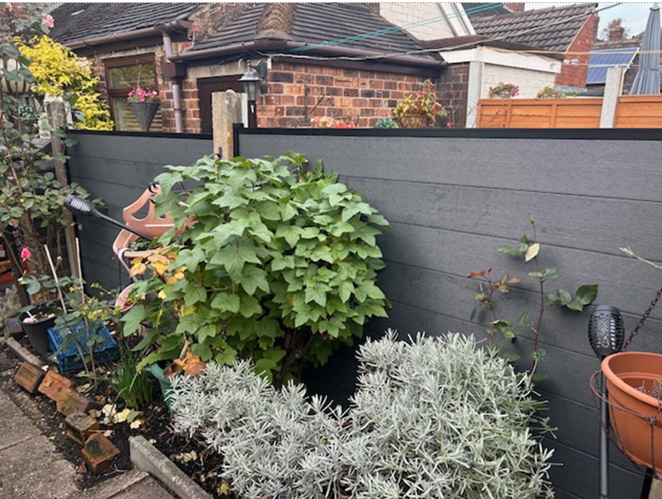 Image #1 from Andrew Hickerman