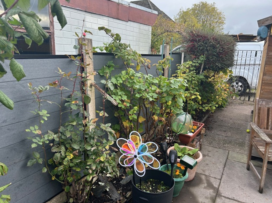 Image #2 from Andrew Hickerman