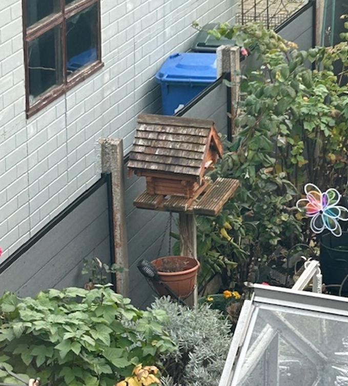 Image #4 from Andrew Hickerman