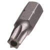 Torx T15 Drill Bit