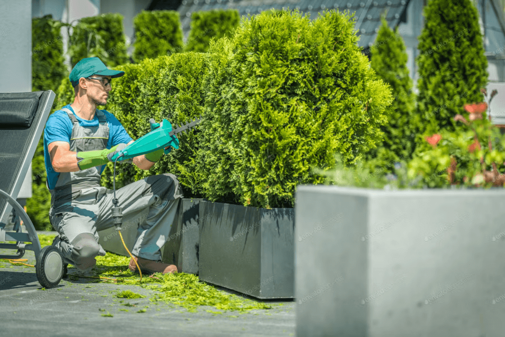 Shrub Trimming