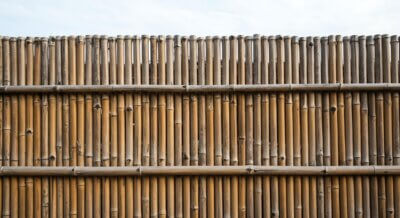 tall bamboo fence